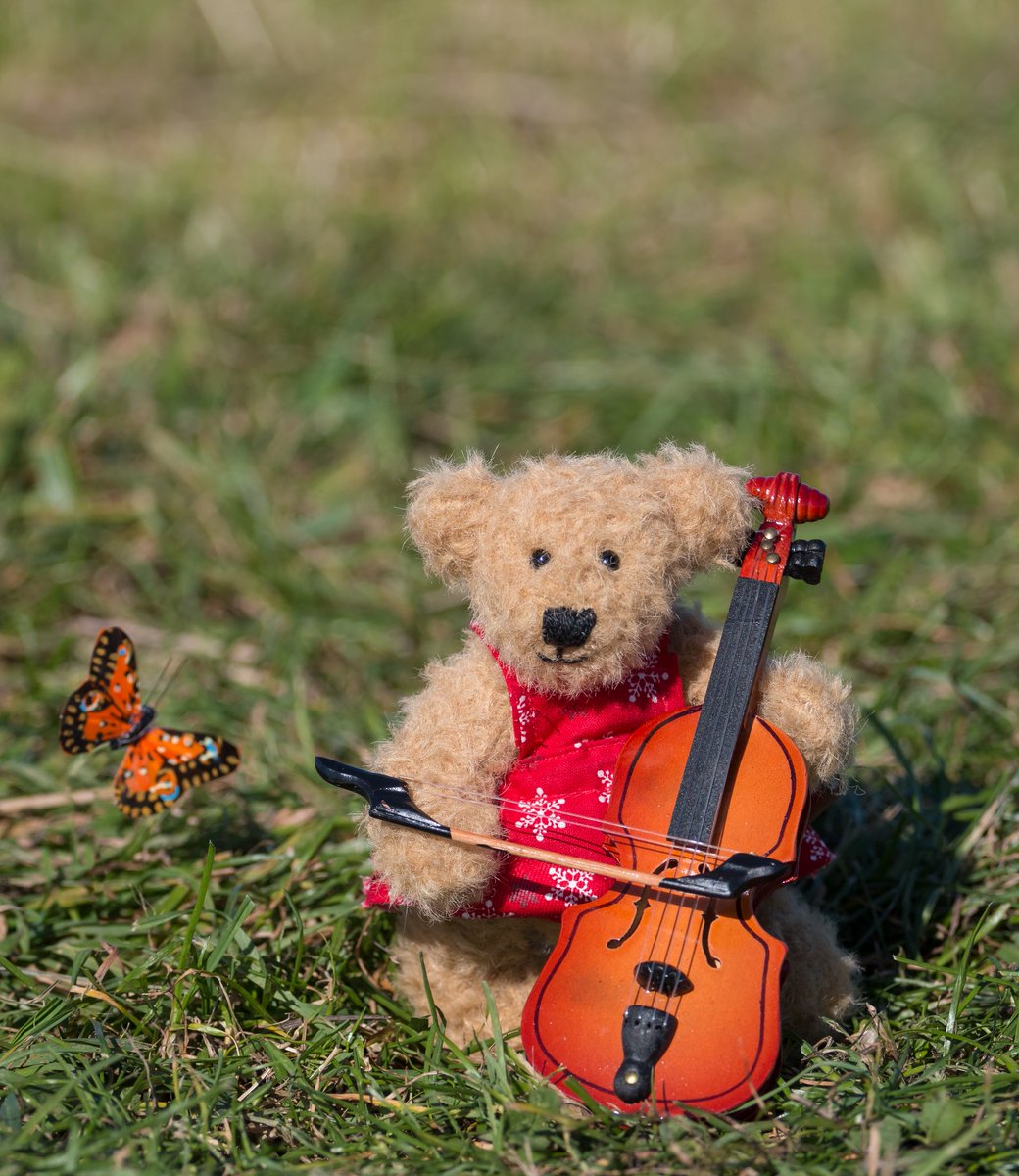 Sound on. 🔊 April fools. This is a picture without sound. Hihi got you. 🤭