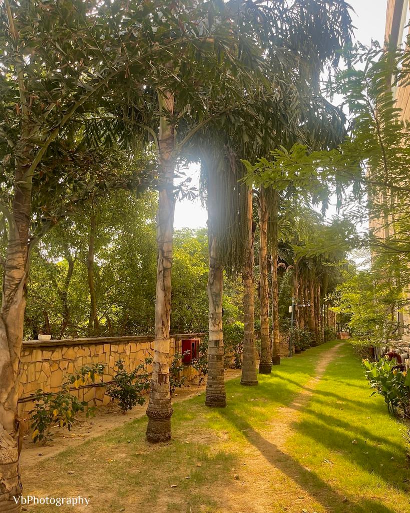 PranayamReside1's tweet photo. Green view at D Block, today. A brilliant click by our resident, Mr. Vakul. #BeautifulPranayam #ProgressivePranayam https://t.co/ZnQj1qwH3k