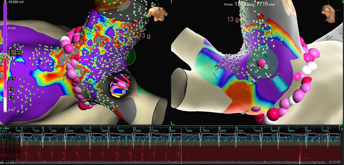 Mallory Taylor tweet media