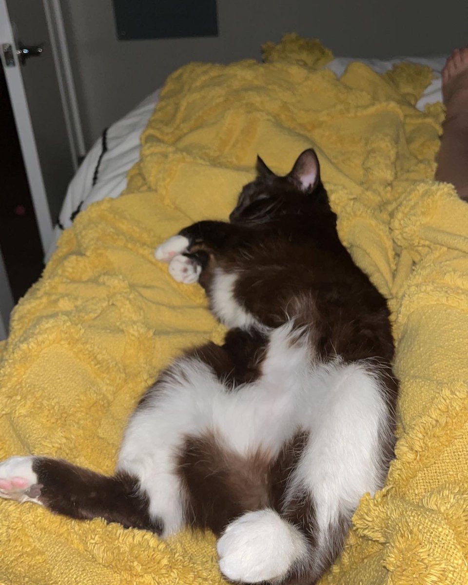 Emma Brumm Advertising tweet media