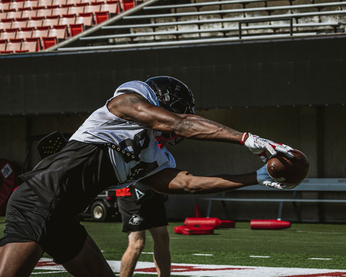 Thomas Hammock tweet media