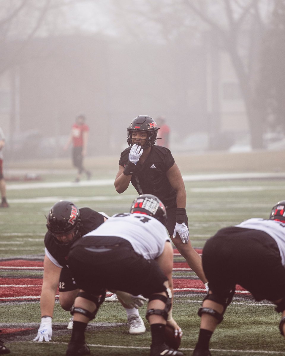 Thomas Hammock tweet media