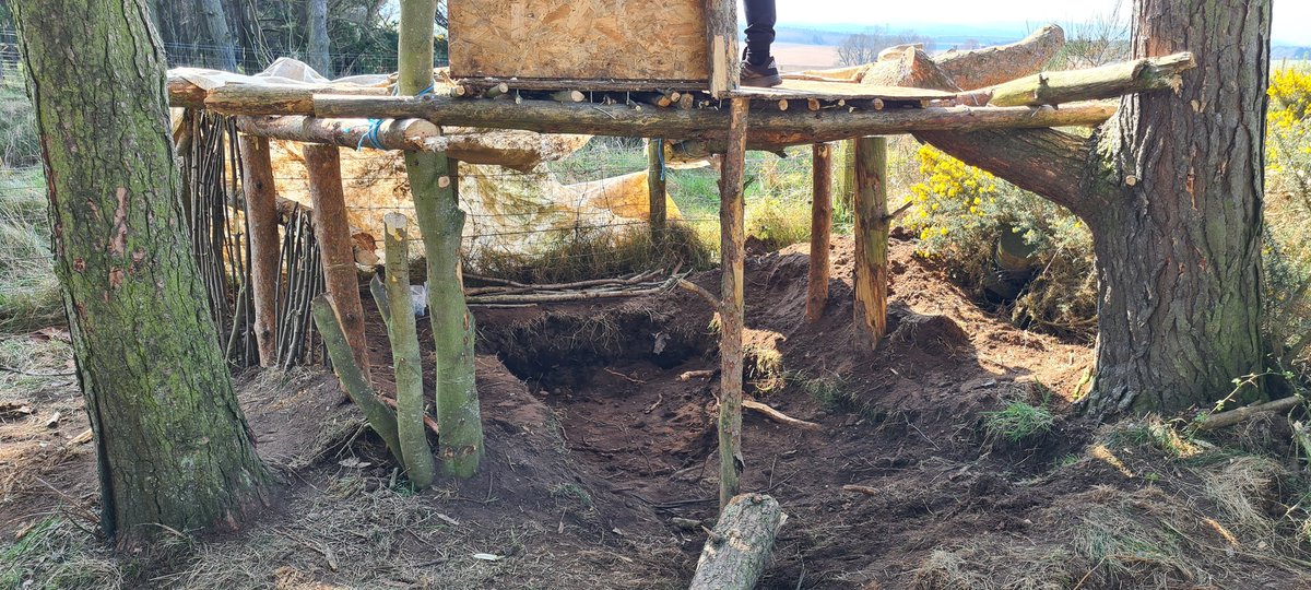 macd_lacey's tweet photo. Morning of den building with the family followed by some time to read and reflect in the afternoon.  Will be finishing off this evening with a glass of wine. #perfectholiday #alwayslearning #thegreatoutdoors https://t.co/ygdsTXywii