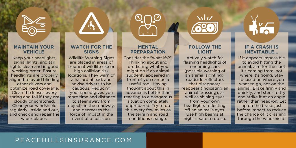 PeaceHillsIns's tweet image. Animal collisions are one of the top types of car insurance claims we see. As we approach the time of year when bears and other animals emerge from hibernation, it's important to remain vigilant.
#DrivingTips #SafeDriving #AnimalCollision #SafetyTips #TipTuesday