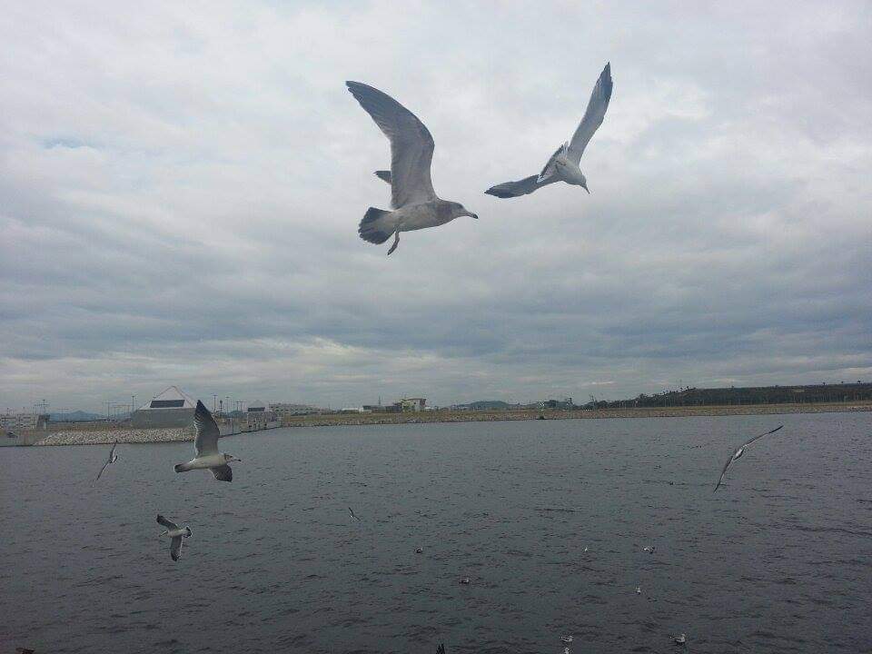 당신 자신이 됨으로써 당신은 이전에 존재하지 않았던 놀라운 것을 세상에 놓을 수 있습니다.