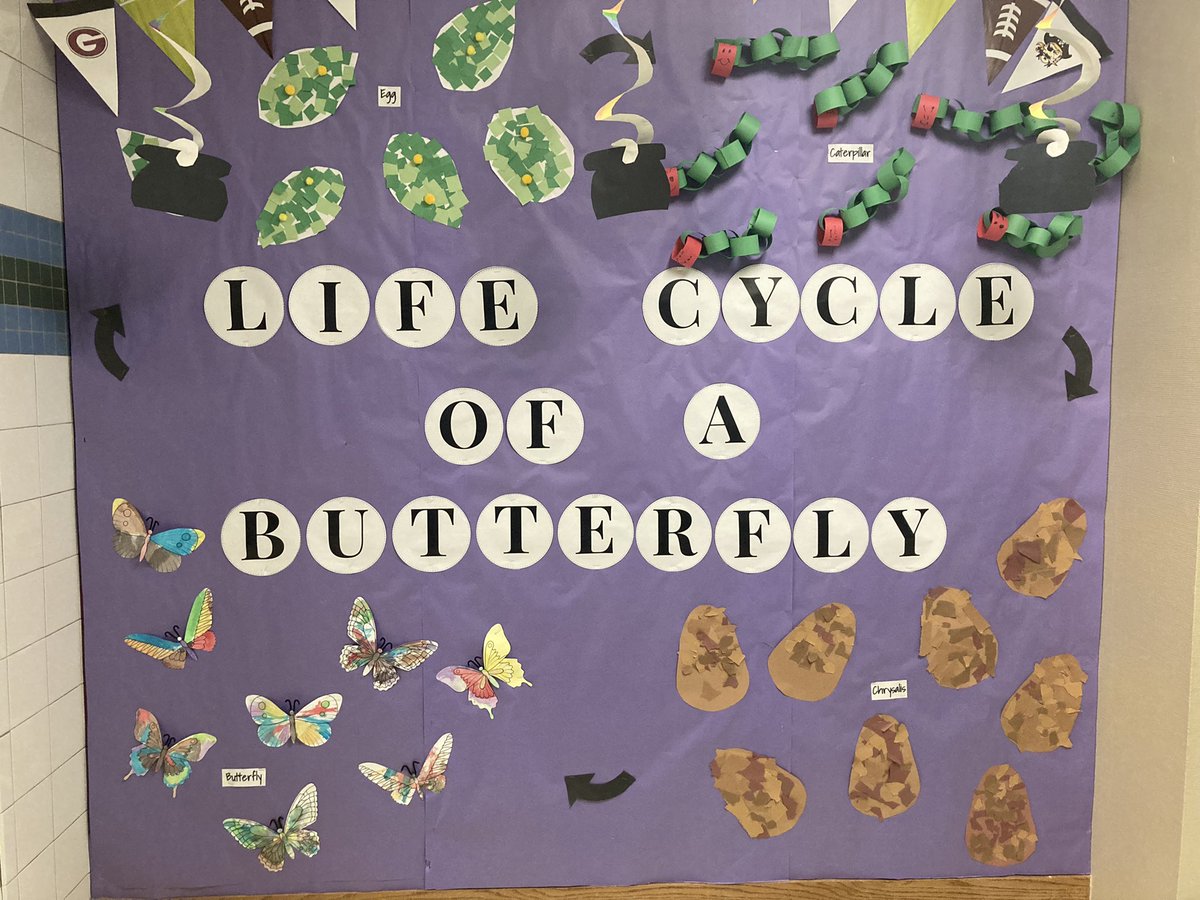 MrsDaniels5th's tweet photo. Learning all about the life cycle of a butterfly. We have been observing and documenting the stages of our own butterfly’s in class. @granburyisd @mambrinosteam https://t.co/EvMitc5iQ7
