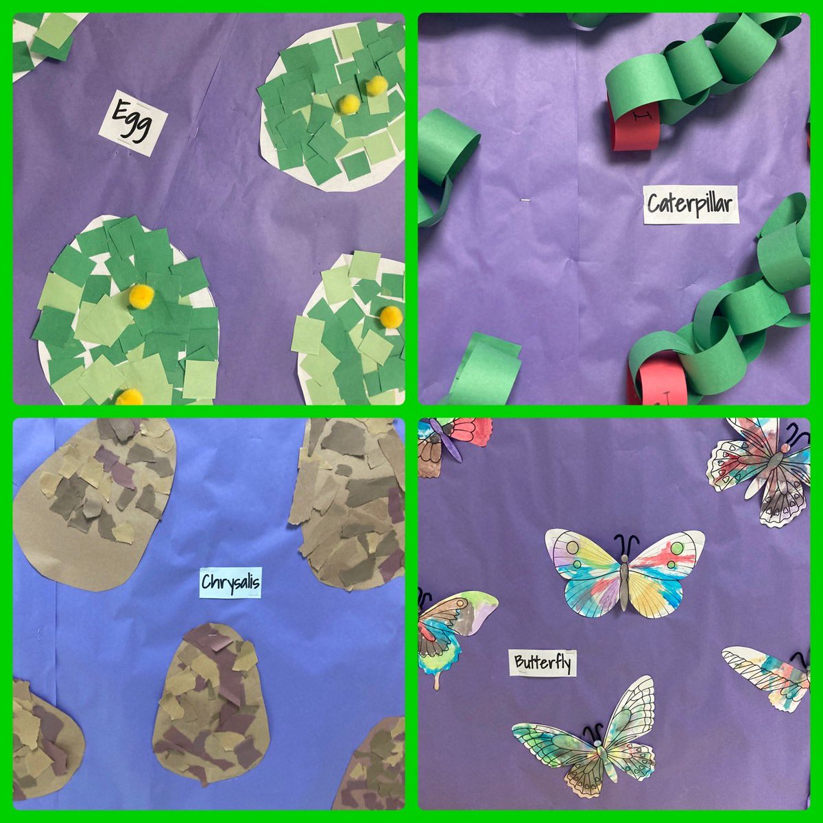 Learning all about the life cycle of a butterfly. We have been observing and documenting the stages of our own butterfly’s in class. <a href="/granburyisd/">Granbury ISD</a> <a href="/mambrinosteam/">STEAM Academy at Mambrino</a>