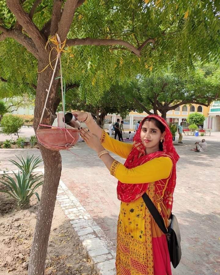 Followers of #DeraSachaSauda keep food grains and water on their roofs for birds with the insp of #SaintDrMSG.  More than 2500 kasores have been distributed in the happiness of establishment month.
 #BirdsNurturing
 #SaveTinyLives
 #SaveBirds
 #NurtureBirds
 #138WelfareWorks