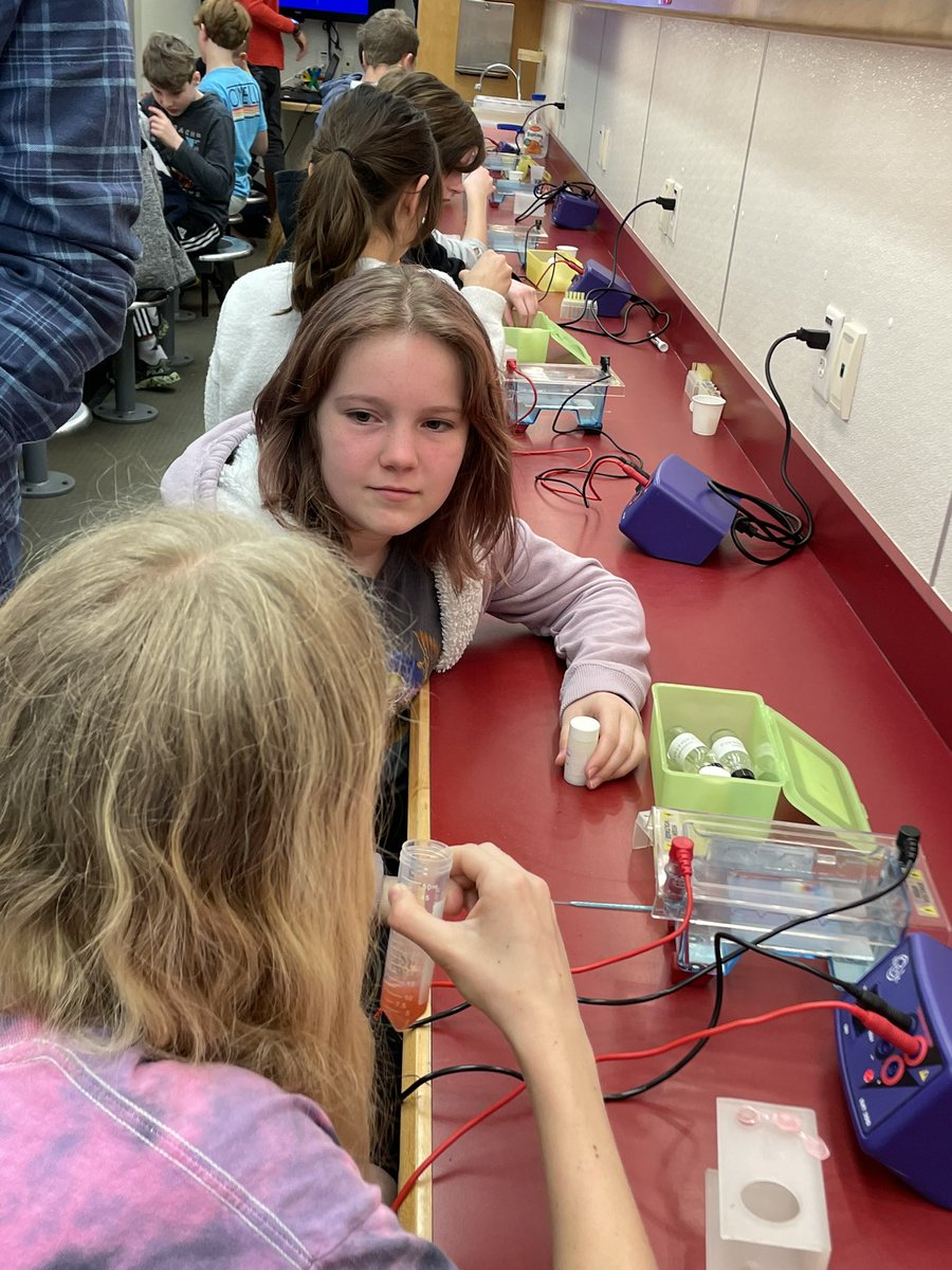 sciencetchr5/6 tweet media