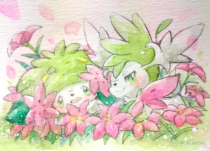 シェイミさんおめー✨
#シェイミの日 