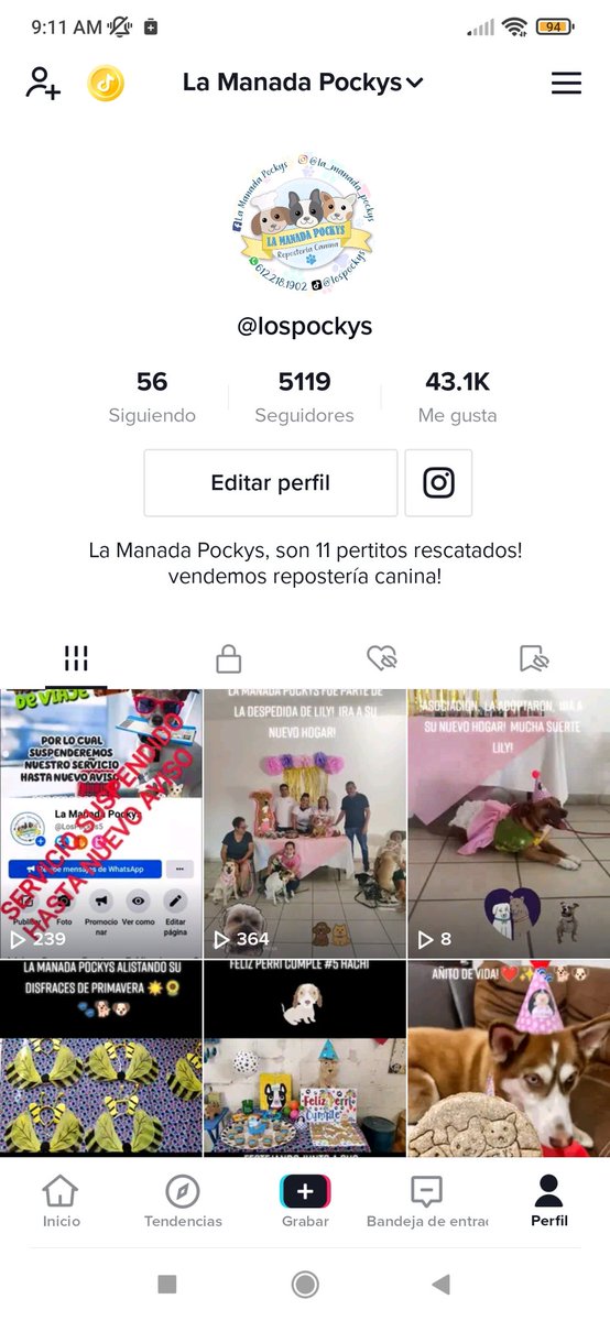 Manada_Pockys's tweet photo. Buenos días a todos nuestros clientes!  Recuerden seguirnos también en nuestro tik tok!  🐾 

https://t.co/cfvmm1qYLD https://t.co/Ies5eWyyAr