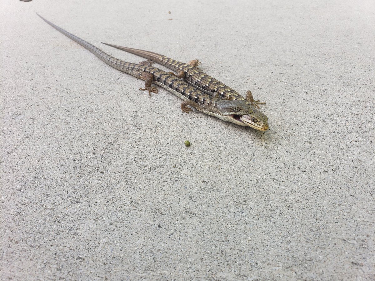 It's springtime... And this is what you get. Nature... warms the heart