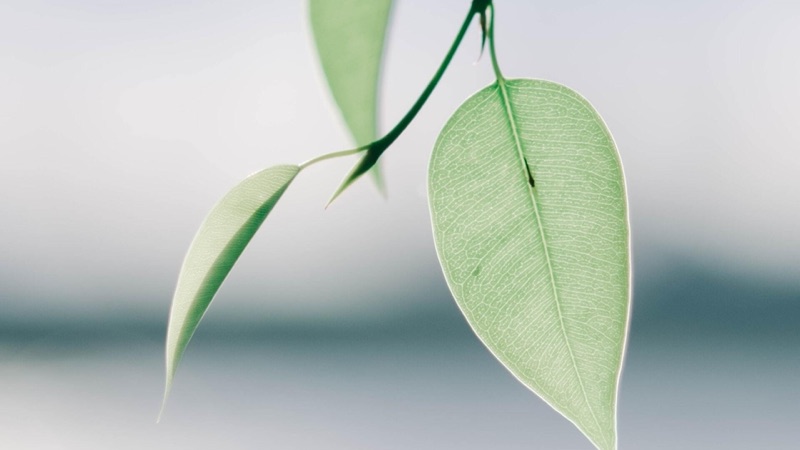 charlesaraujo's tweet photo. From @TheDXReport: Dynatrace (@Dynatrace) Updates Its Mission, Purpose, and Vision https://t.co/LlN1RatAP0 #ExTechNews #ExperienceMonitoring #SoftwareIntelligence https://t.co/MuslYIEdpS