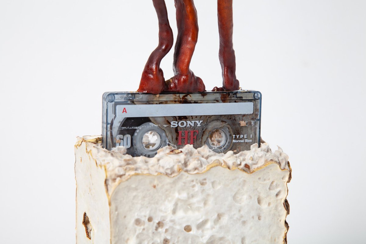 Fungi marking the end of a lifecycle, and the beginning of a new one. 
#fungi #mushrooms #ecology #reishi