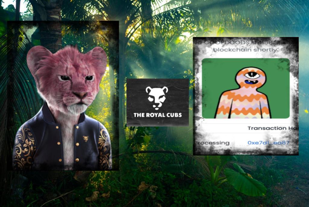 The Royal Cubs tweet media