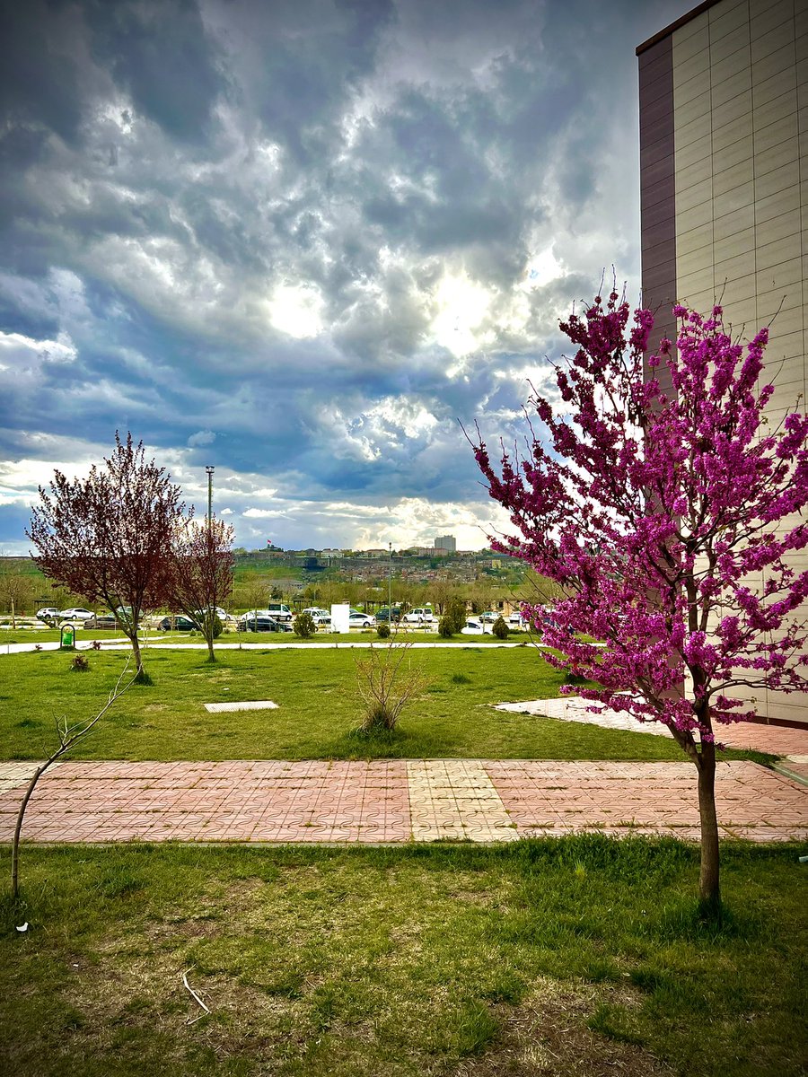 Bulutlar ağlamasa yeşillik nasıl güler?
                                          
                                               Mevlâna