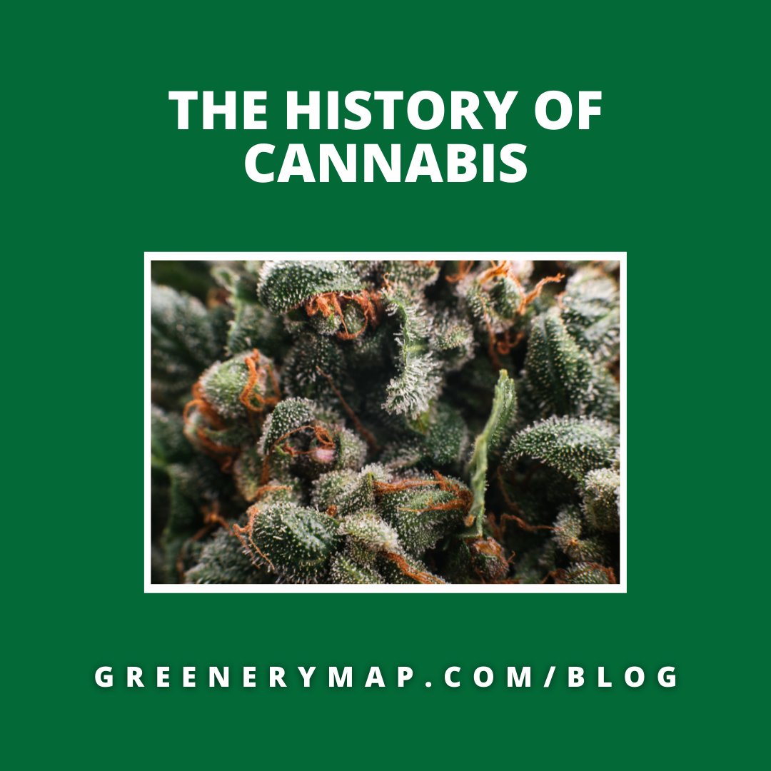 GreeneryMap's tweet image. How much do you know about the history of cannabis? We can teach you! 

ow.ly/eQqi50IG1wf