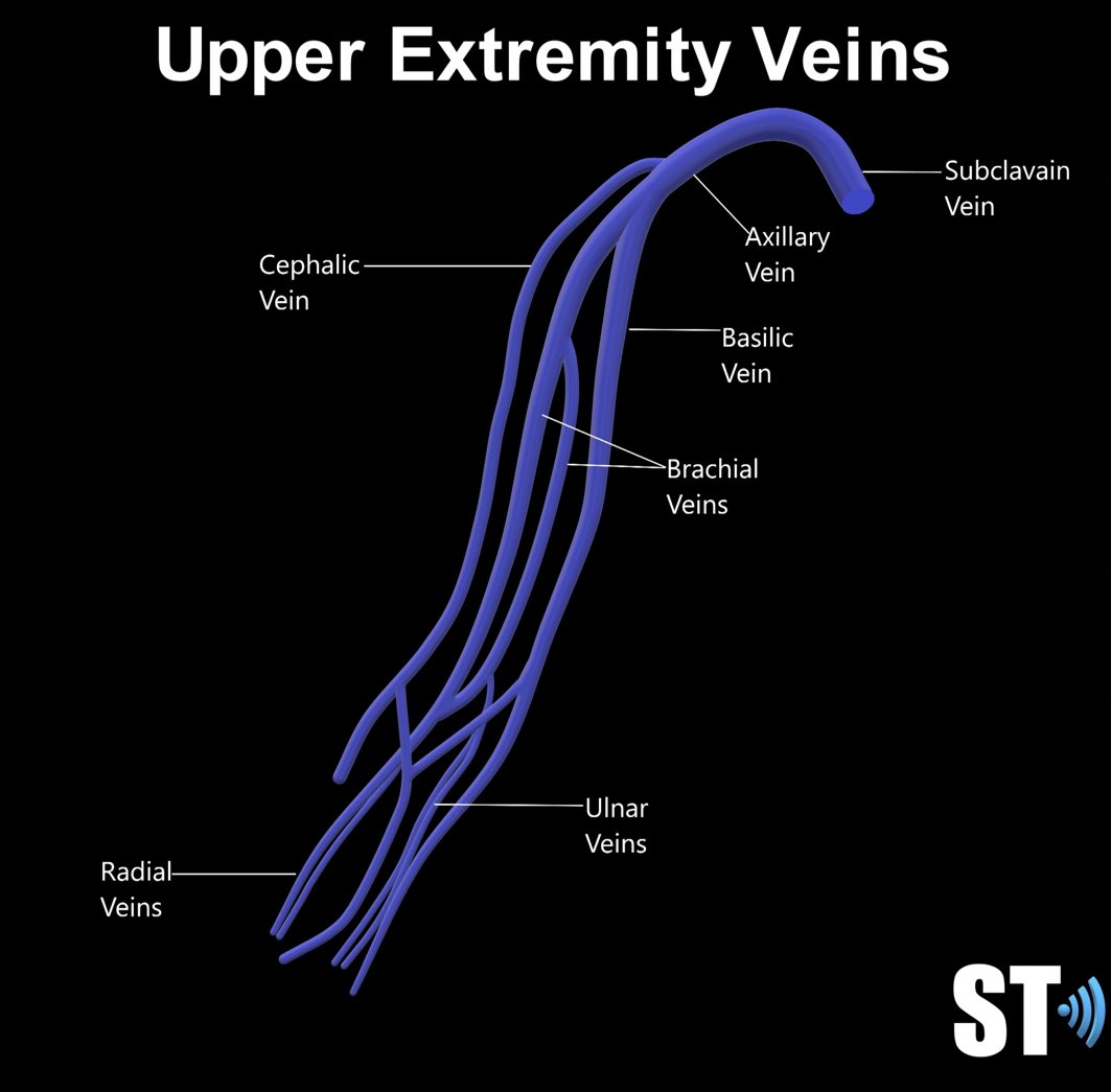 MoDa4's tweet image. Ultrasound of the upper extremity Venous   
مراجعة سريعة 💭
✅ Technique 
✅ anatomy 

من أجمل الفديوهات تختصر لك الكثير وتفهم وتراجع وتسهل عليك فهم أساسيات الفحص مع زميلنا محمد 👍🏼
#ultrasound #sonographer
#Radiology #vascular 

youtu.be/gesaL7eqWpE
youtu.be/3NYdqBnENfg