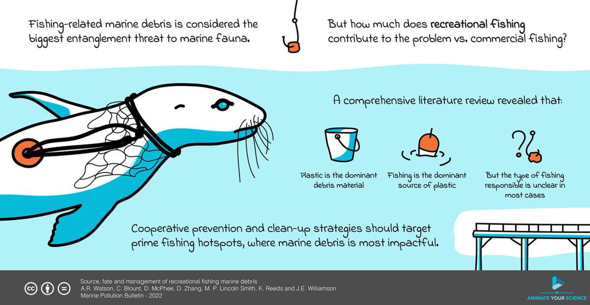 urchinhunter's tweet photo. Our latest paper! What is the impact of marine debris associated with recreational fishers? @AudreyRoseOcean @CardnoAustralia @RecFishNSW  @MEG_MQ @mqnatsci @MQSciEng 
https://t.co/HnbLdGCxOu https://t.co/UDzd6ZZ15j