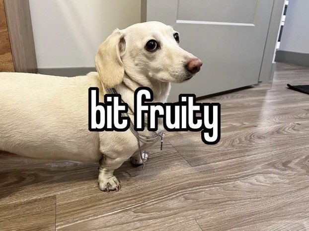 / / ephraim: I’m going to mix three whole fruits in this pie .. 

kyle: