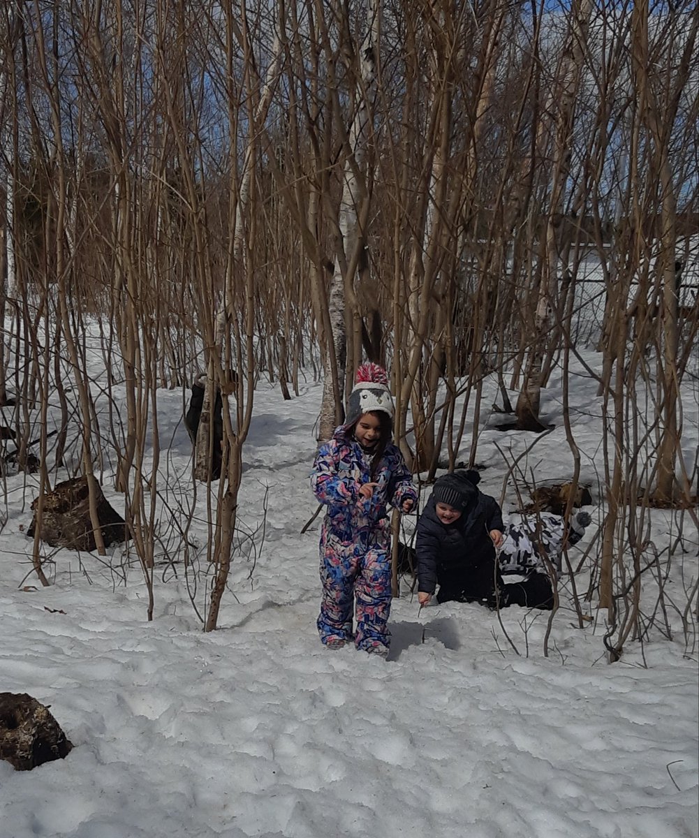 MsYoung_Kinder's tweet photo. Climbing trees, playing "family," tree tapping, and making campfires - all signs of a well spent spring afternoon outside 🔆🌲🌱
#outdoorplay #learningthroughplay #Kindergarten  @NLESDCA  @Elwoodelementar https://t.co/UjAn9mAMwM