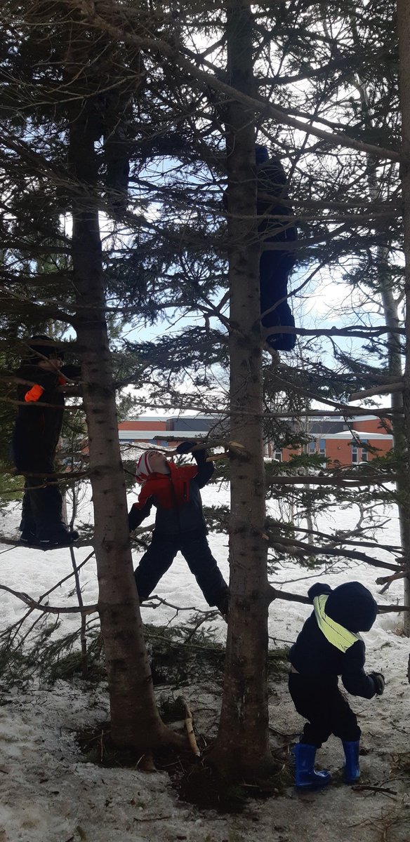Climbing trees, playing "family," tree tapping, and making campfires - all signs of a well spent spring afternoon outside 🔆🌲🌱
#outdoorplay #learningthroughplay #Kindergarten  <a href="/NLESDCA/">NLESD</a>  <a href="/Elwoodelementar/">Elwood Elementary</a>