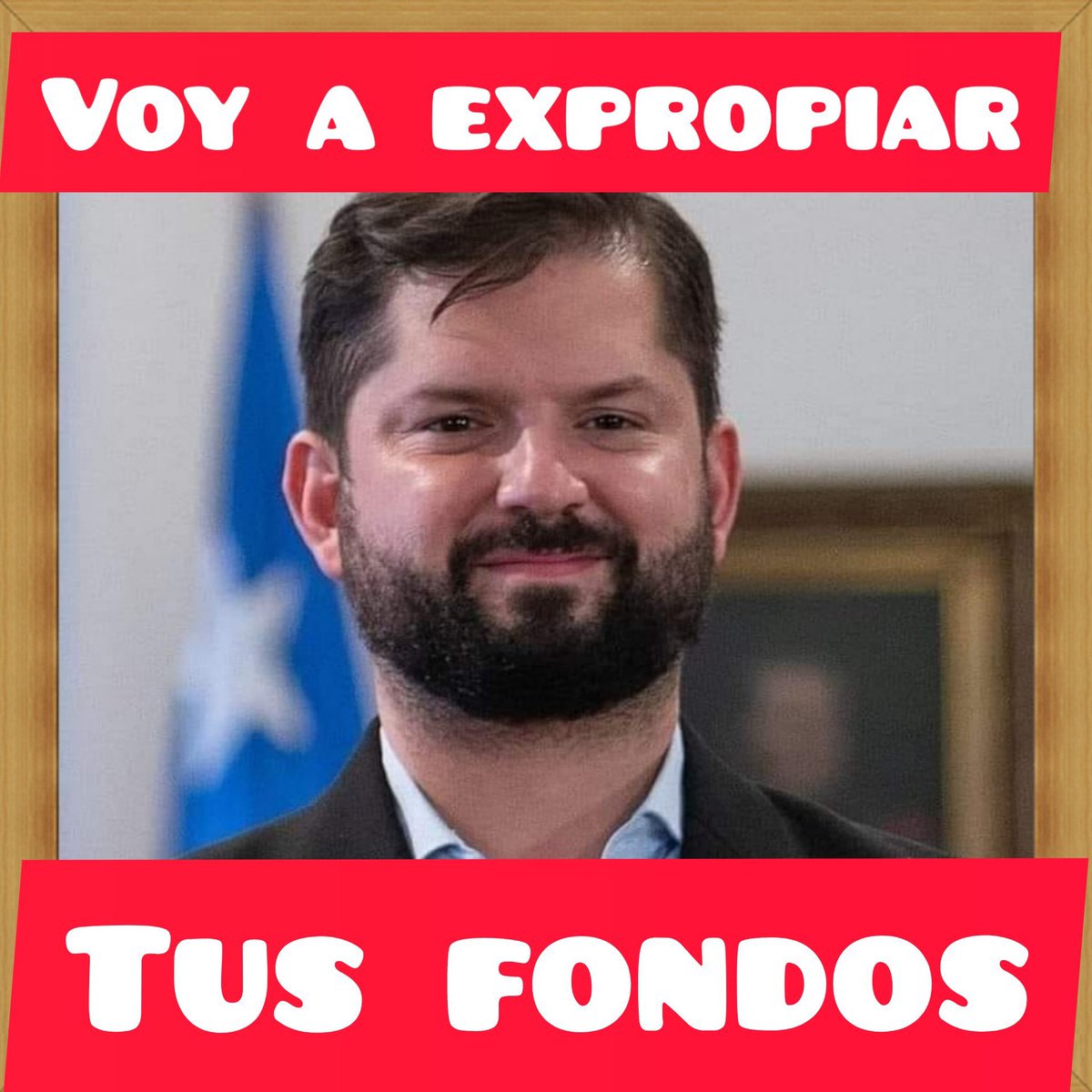 abucrowcl's tweet photo. #BoricNoEsMiPresidente https://t.co/bJ0AGytDoF