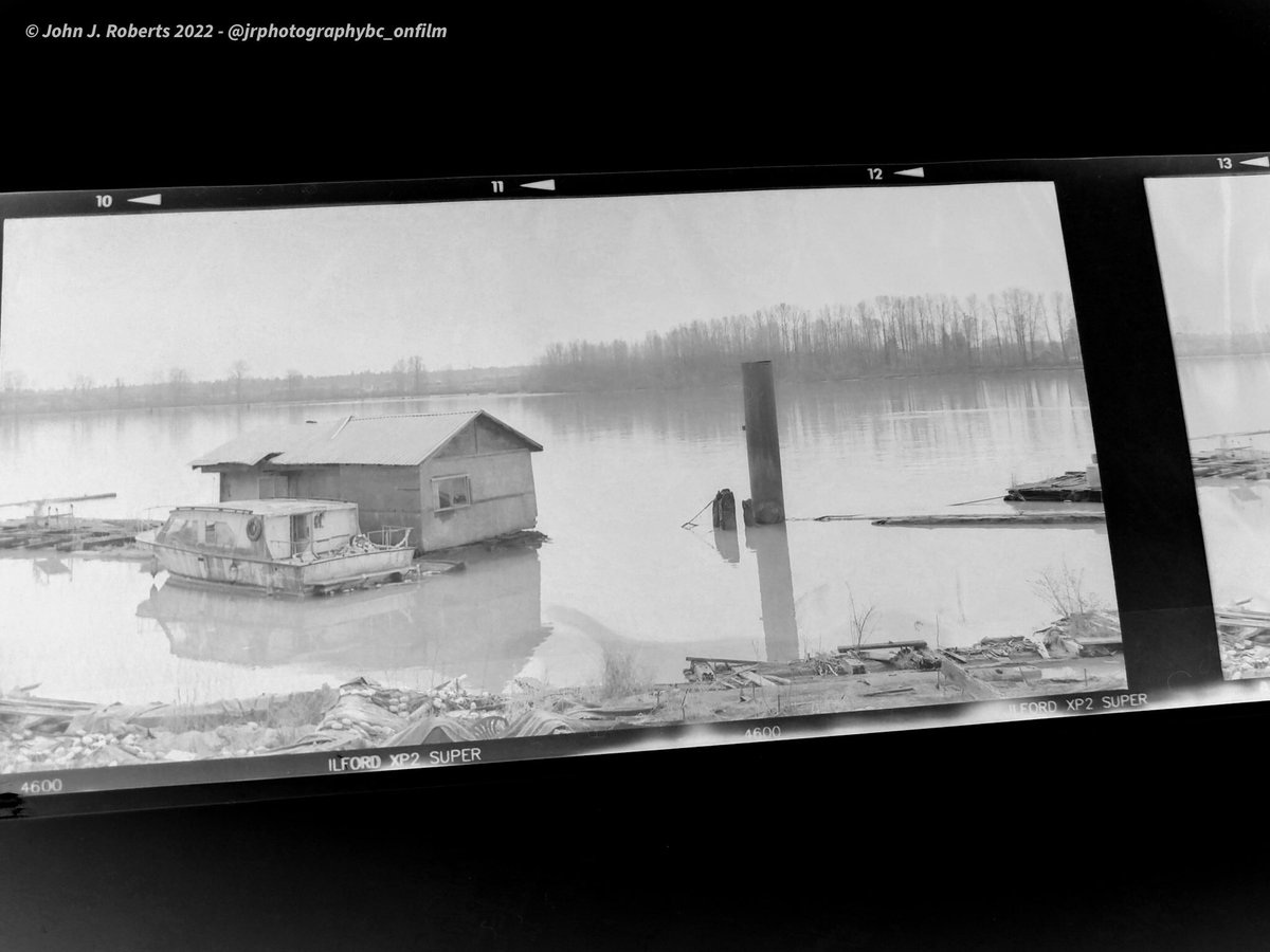 jrphotographybc's tweet photo. Cellphone scan to tease right now, main scans coming tomorrow hopefully, taken last week with my 4x5 with the 6x12 horseman roll back.
#6x12 #6x12format #NikkorW135mm56 #ShenHao #ShenHao4x5 #BelieveInFilm #NorthernFilmCollective #ShootFilmBeNice #CanadianFilmPhotographers https://t.co/bCT8mJrn4V