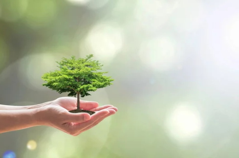 EpicorUsers's tweet photo. Happy #ArborDay! 

Learn Why We Celebrate Arbor Day - and Plant a Tree!

https://t.co/zICJZK6nZS

#ArborDay2022 #PlantATree #Epicor #EpicorUsersGroup #EUG #UsersHelpingUsers https://t.co/t7dvtDIcVU