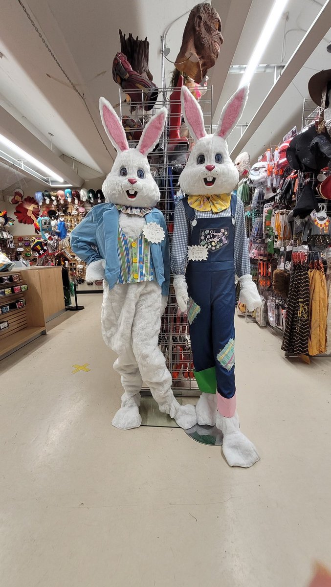 If renting isn't your thing we have tons of adorable bunnies for sale too! Come see us!