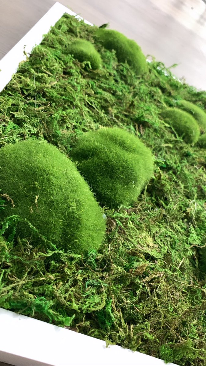 hanembroiders's tweet photo. I made some wall art out of moss https://t.co/WUTOEJzPSk