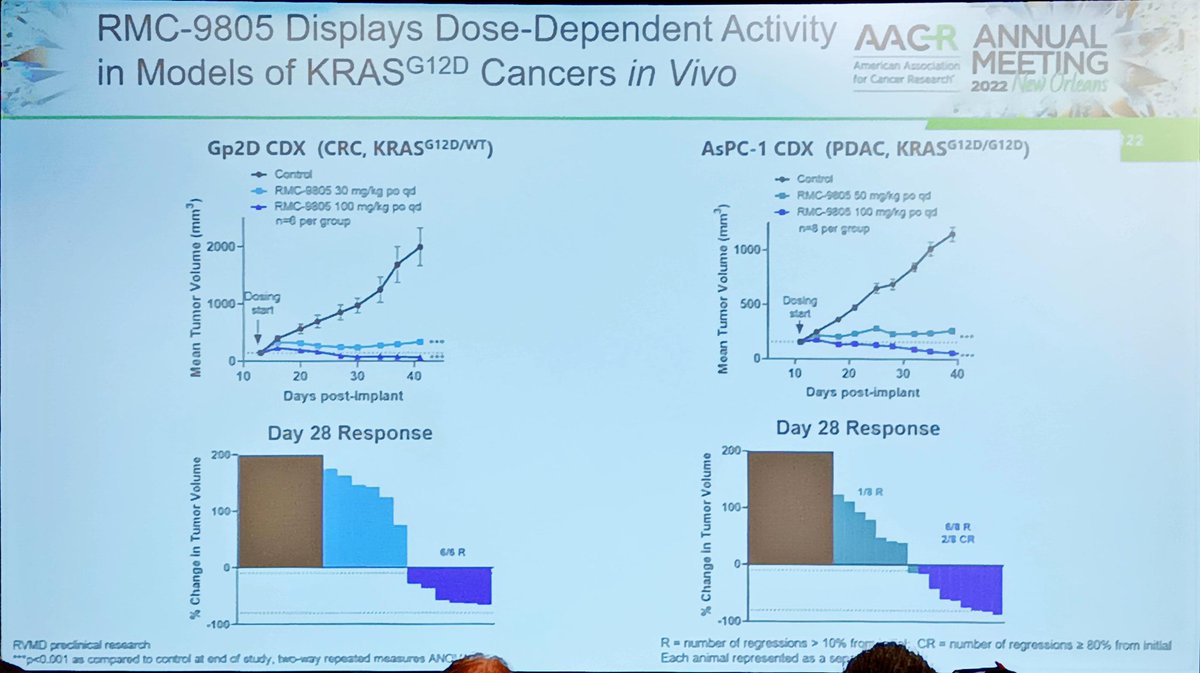 #AACR22 is revolution on the way?
Very promising preclinical data with
➡️RMC-6236 KRAS G12X i
➡️RMC-6291 KRAS G12C i
➡️RMC-9805 KRAS G12D i
Suggestion of RMC-6236 / -6291 compound and antiPD1 synergy
@Rev_Medicine #lcms #PrecisionMedicine