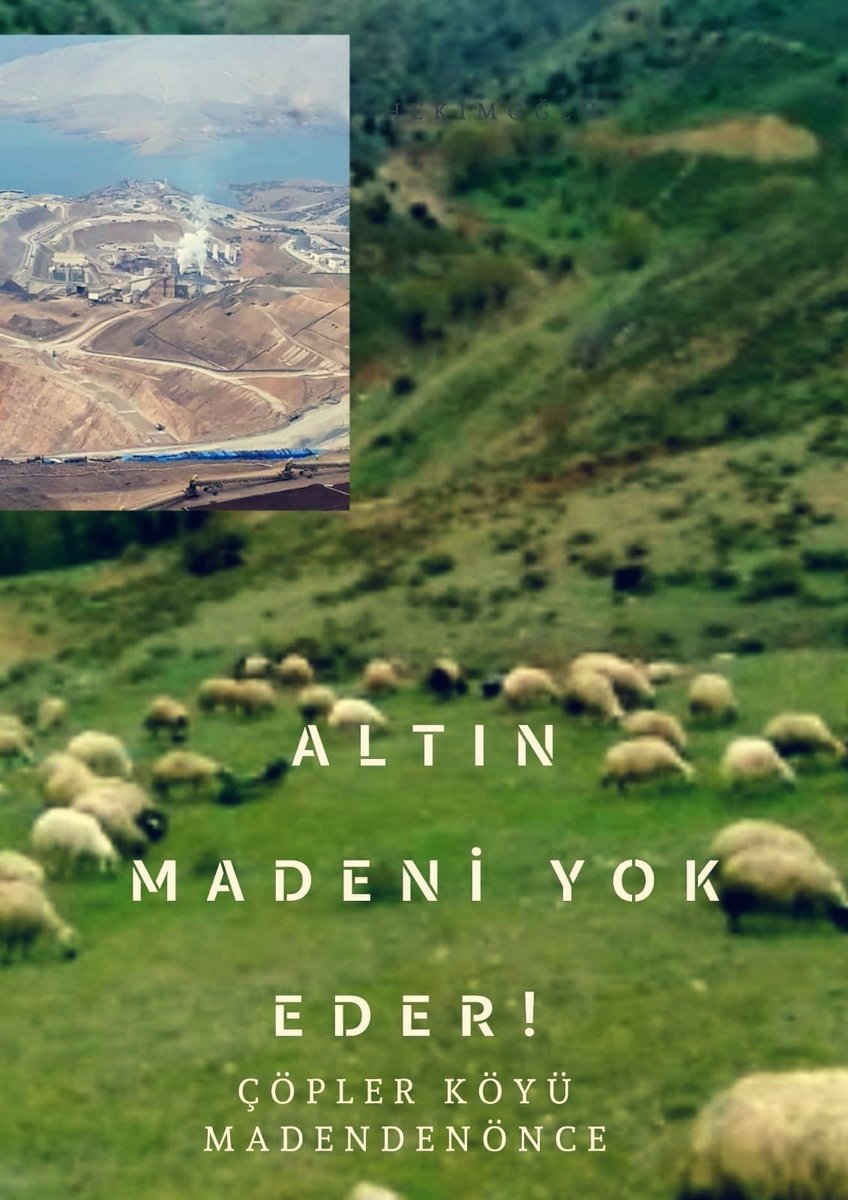 #FıratSiyanürAkıyor 
 Maden şirketleri  ve HES'ler    dünyayı  ekolojik felaketin  eşiğine getiriyor. Para babaları ve iktidar bunun hesabını  mutlaka verecektir. 
<a href="/ilicdogacevre/">İliç Doğa ve Çevre Platformu</a> <a href="/ikizdere_icder/">İkizdere Çevre Derneği</a> <a href="/ekolojihareketi/">Mezopotamya Ekoloji Hareketi</a> <a href="/ekolojibirligi/">Ekoloji Birliği</a> <a href="/munzur/">munzur</a> <a href="/YeryuzuEkolojii/">Yeryüzü Ekoloji Kolektifi</a> <a href="/EkolojiR/">Ekoloji Radarı</a> <a href="/kazdaglariist/">Kazdağları İstanbul Dayanışması</a>