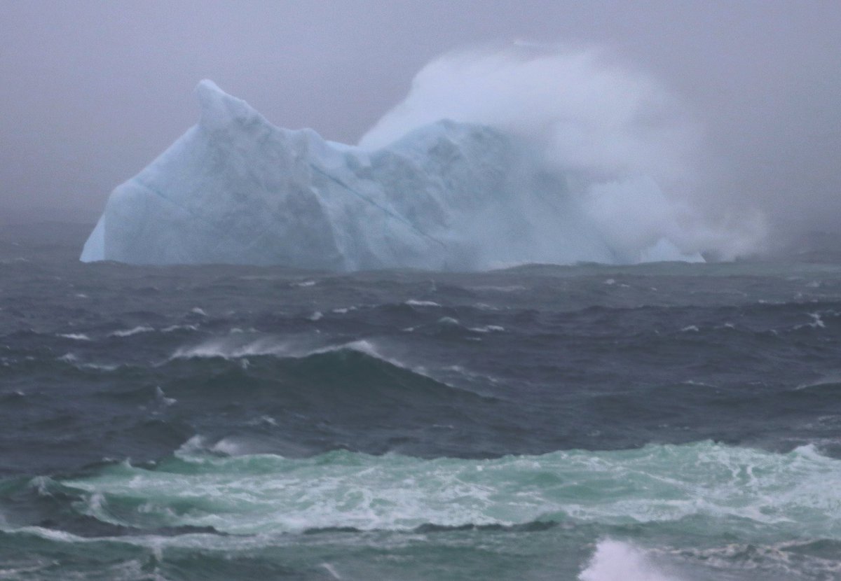 🇨🇦 tweet media