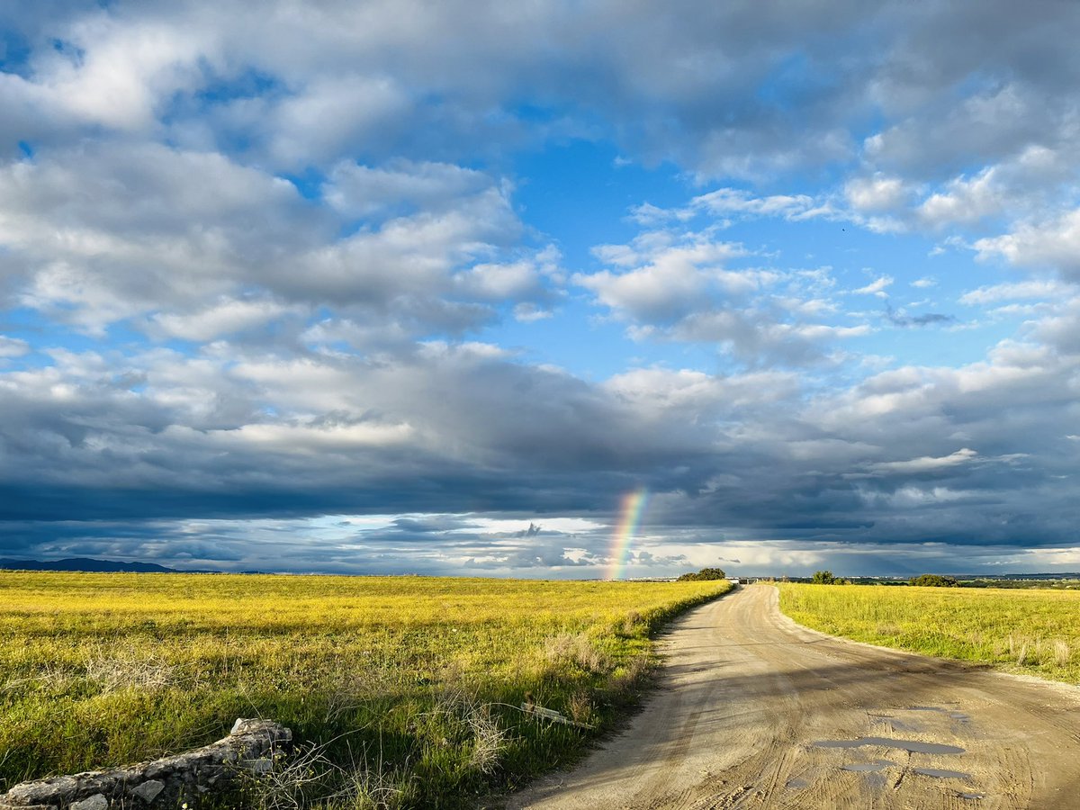 lpmansillas's tweet photo. Somewhere over the rainbow 🌈
#meparecequeestonoesKansas #sigueelcaminodebaldosasamarillas #despuésdelalluvia #sehaquedadobuenatarde #puesyaestaría #lodehoy #atodocolor #fullofcolours #lifeintechnicolor https://t.co/yOof8lF7g1