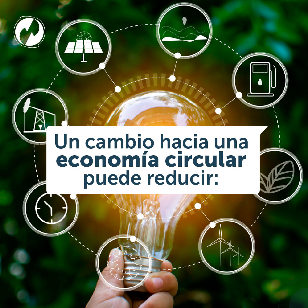 PLASTITECGROUP's tweet photo. Un cambio de paradigma para soluciones globales 🌎

La economía circular es un sistema que buscar aprovechar los recursos para reducir, reciclar y reutilizar todo aquello que se desecha y darle una segunda vida.

https://t.co/V2MElWQB5b https://t.co/ptMp6VUbTg