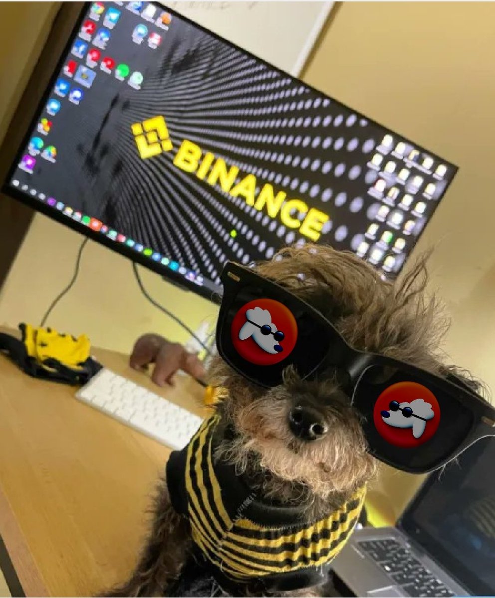 POODLCHAIN's tweet photo. To SHOW you #NFTCommunity just how awesome our #AugmentedReality #NFTs with animations REALLY are? 

We unlocked one for YOU to try. FREE. 

Go to: https://t.co/F6K8v6YxfN and click "view in my space" for the full AR #NFT to appear. Make sure your camera is open #altcoin #crypto https://t.co/OrZgI27CpP