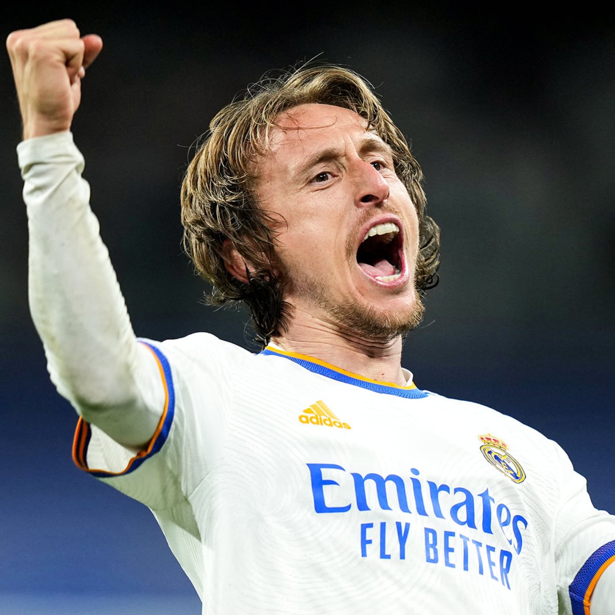 Invictos tweet media