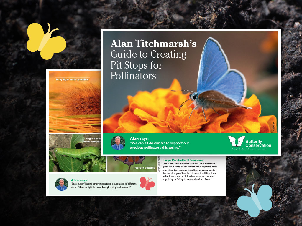 savebutterflies's tweet photo. We have teamed up with Alan Titchmarsh to help you create your own 'Pit Stops for Pollinators'!
Visit our website to download your free guide now ๐ https://t.co/EeZTegKYHn
#PitStopsForPollinators #MothsMatter #SaveButterflies https://t.co/Dg45YbMyju