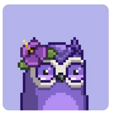 kapexnft's tweet photo. @moonbirds_xyz @kapexnft my sunday vibes for sure https://t.co/Uzmmbm6DVu