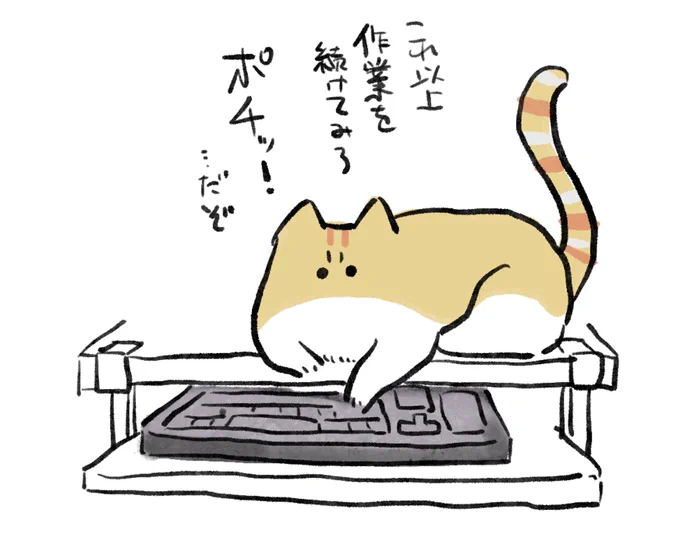 今日の雑日記です。キーボードに手を添えて脅してくる 