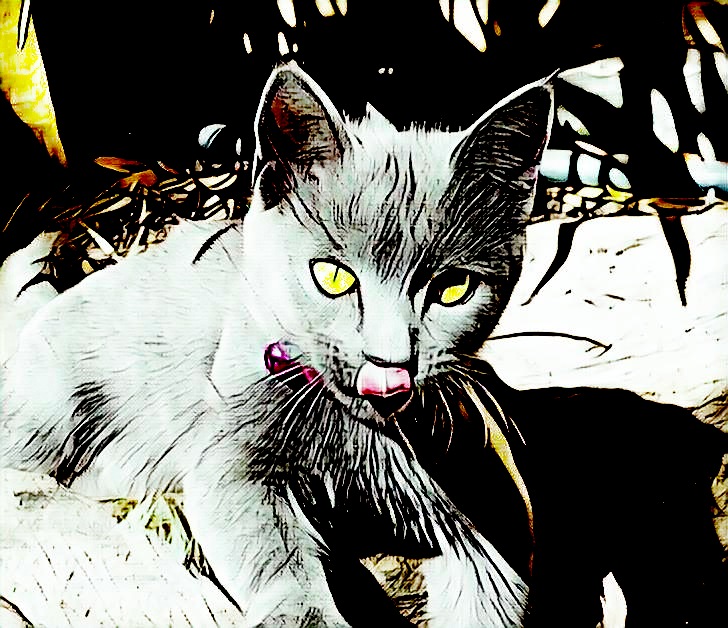 N_FTY_ART's tweet photo. Check out this item on OpenSea https://t.co/8kKemViwDX via @opensea
#catnft #NFTCommunity #kittynft #CleanNFT #NFTCollection #NFTartist #cryptocurrency #Ethereum #NFT https://t.co/hUqtGvQksO