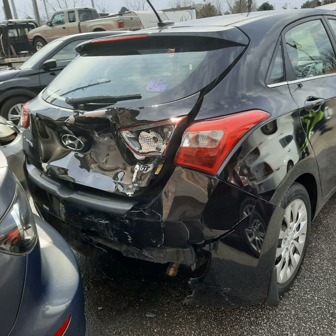 My sweet boi Toothless got totaled two weeks ago and i'm in the process of getting a new car. Long story short, buy some art from my shop :D 

Shop Link here to fund "Twothless" :sequoiabostickart.com/shop