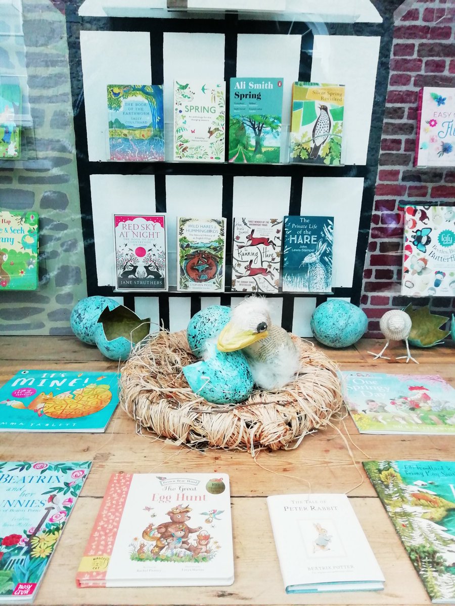 Spring has sprung into our bookshop window! 🐣