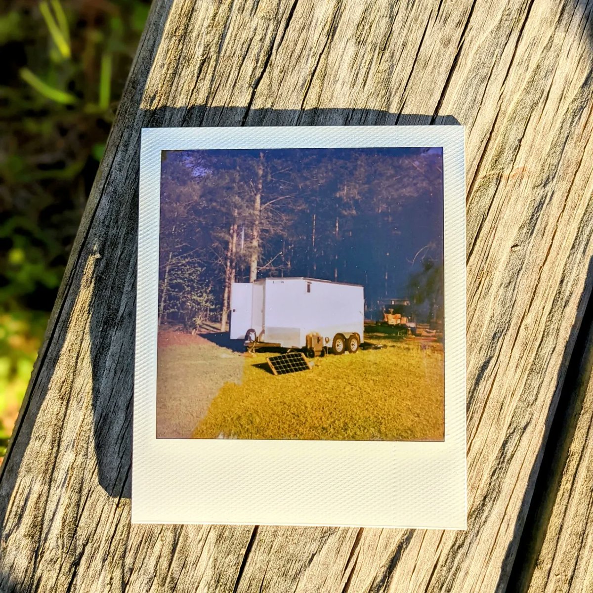 Nomadic Photo Ark 🚐🎞️📸 tweet media