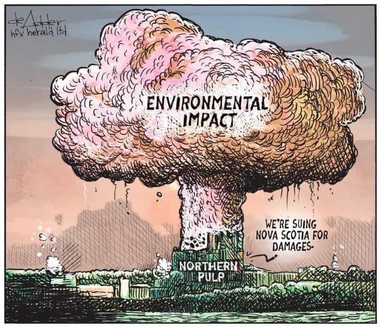 This @deAdderCanada cartoon nails it. After 1/2 century of grossly polluting the air & water in & beyond Pictou County & decimating the forests of NS, the Mill owners are suing NS taxpayers for $450 million for being forced to stop their massive polluting. 🙄#NorthernPulp #nspoli