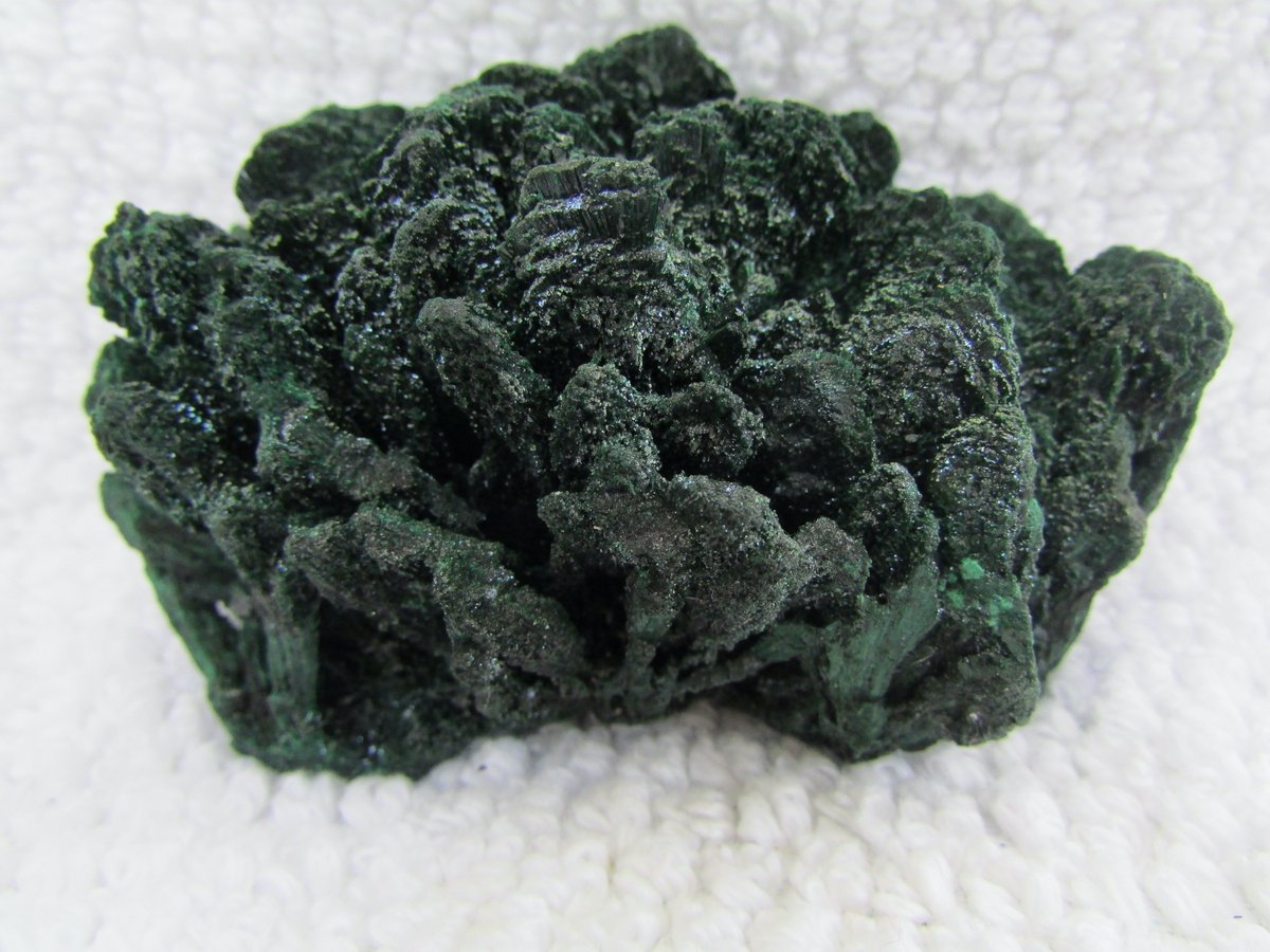 Bisbeeborn1's tweet photo. Featured Mineral
Today we are featuring a malachite from Katanga Province, Democratic Republic of Congo.  Whatever angle this mineral is displayed it is sure to please.
https://t.co/1s9bGyC3yj
#malachite #minerals #mineralogy #mineralcollecting #crystals #rocks #fineminerals https://t.co/gyye0yWWBg
