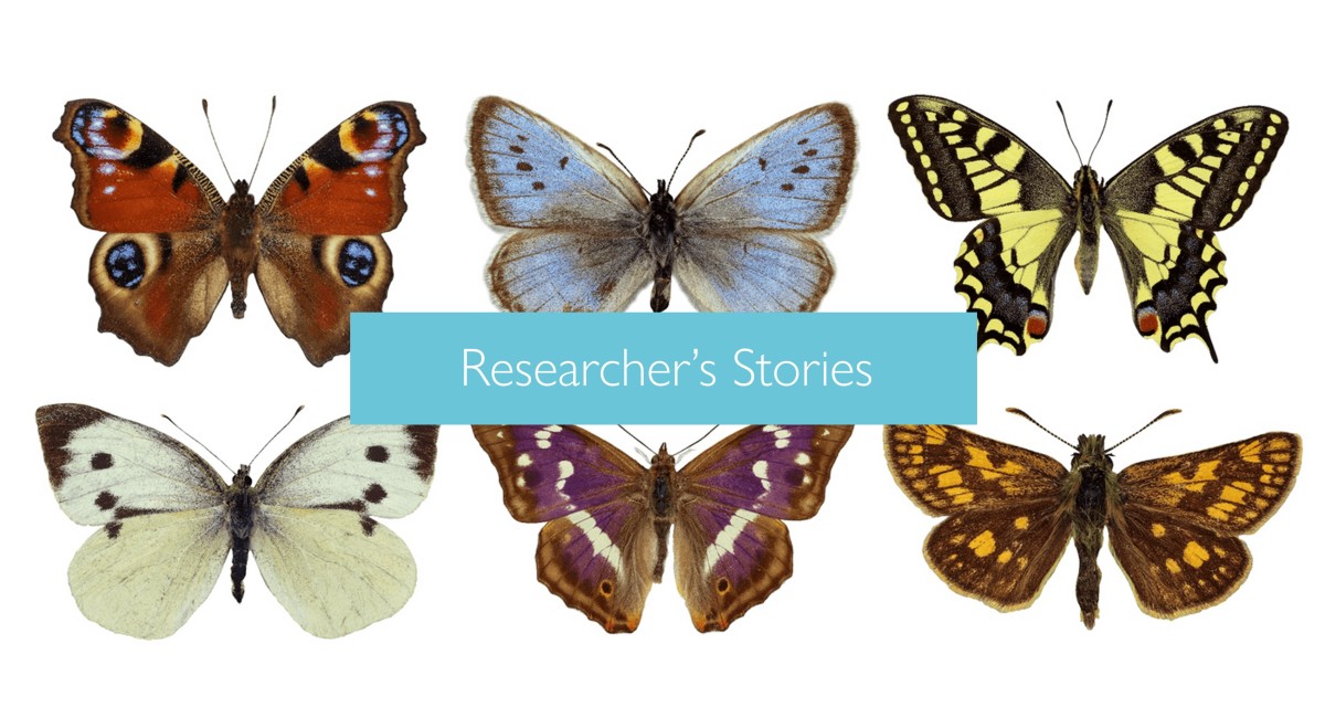 ZoologyMuseum's tweet photo. Want to know more about butterflies? To celebrate the launch of the Butterflies Through Time exhibition, we have invited some of the researchers featured in the exhibition to speak more about their research. Click to find out more🦋🐛
https://t.co/KsUT4Vh0Ya https://t.co/Q5NI29seat