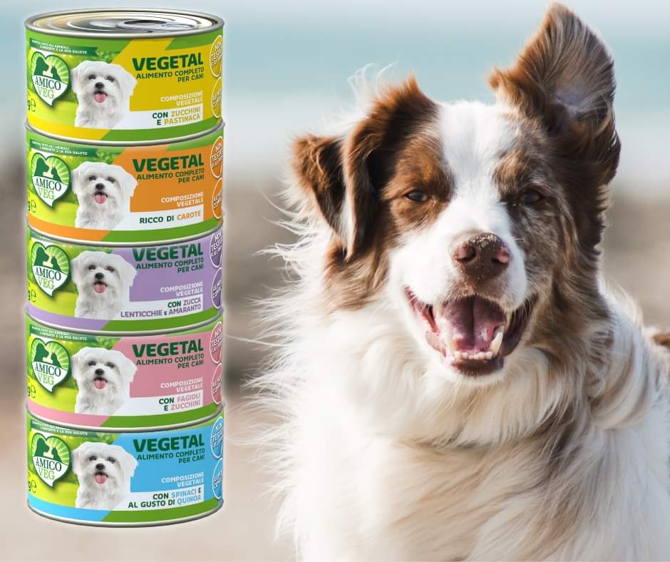 amicoveg's tweet photo. Ogni quattrozampe ha i propri gusti, ecco perché noi di #AmicoVeg abbiamo creato tantissime varianti della nostra linea Vegetal. Tutti sfiziosi, sani e 100% vegetali: non sono le solite scatolette! https://t.co/kDn0WAmUeO