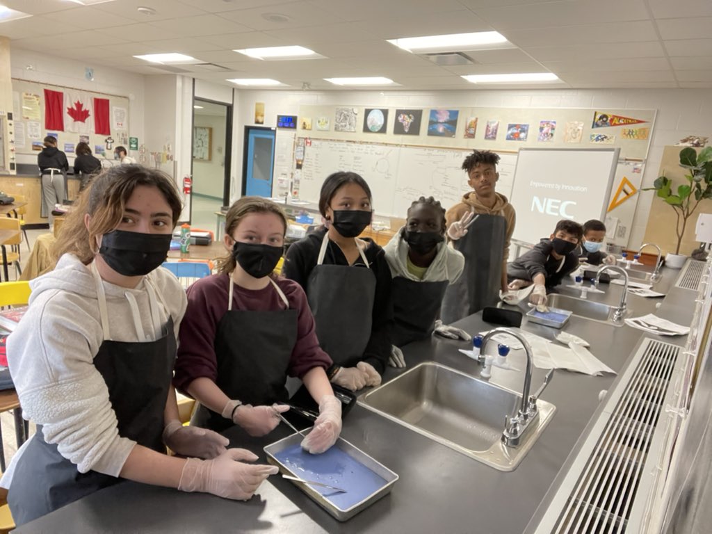 StHelena_CCSD's tweet photo. 8C & 8N having fun dissecting cow eyes this morning! #biology #lightandoptics #science https://t.co/EmQae6Gr7f